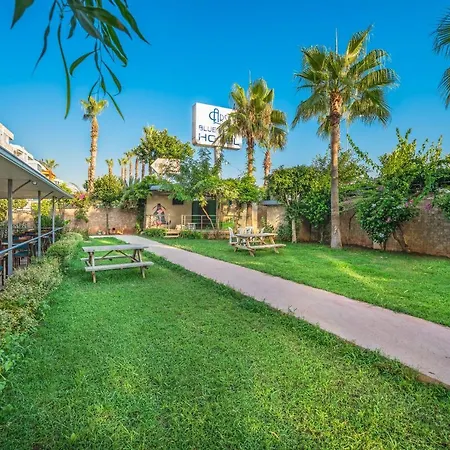 ホテル Arsi Blue アランヤ