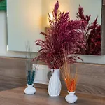 Hotel Arsi Blue Alanya