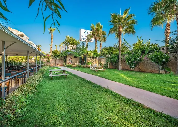 酒店 Arsi Blue 阿拉尼亚